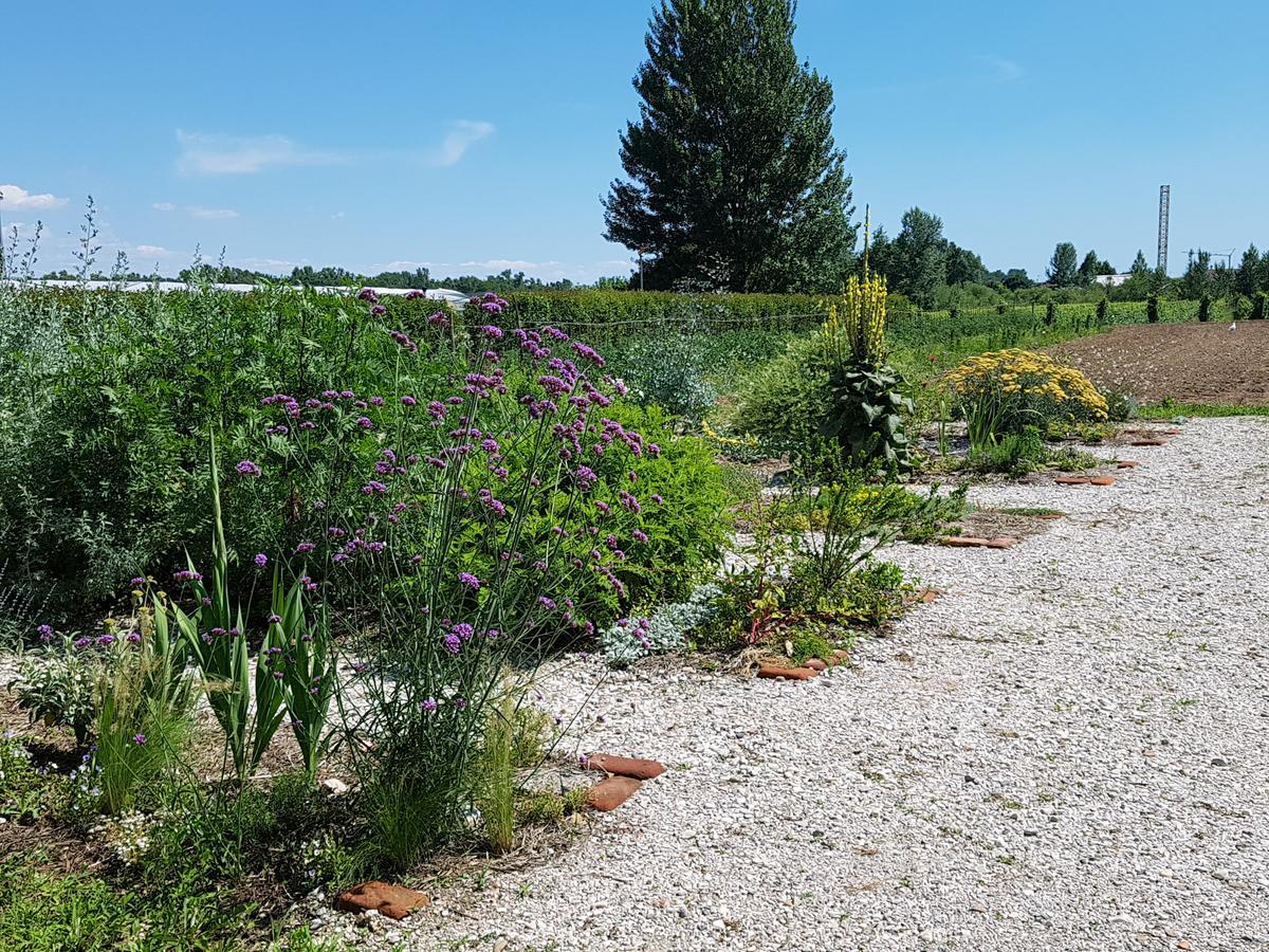 Agriturismo Frascje Dai Spadons Villa Pradamano ภายนอก รูปภาพ